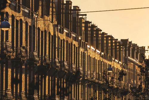 AMSTERDAM’S COOLEST NEIGHBORHOOD